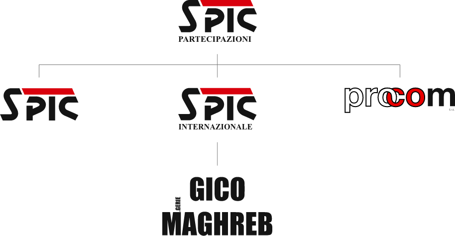 Il gruppo